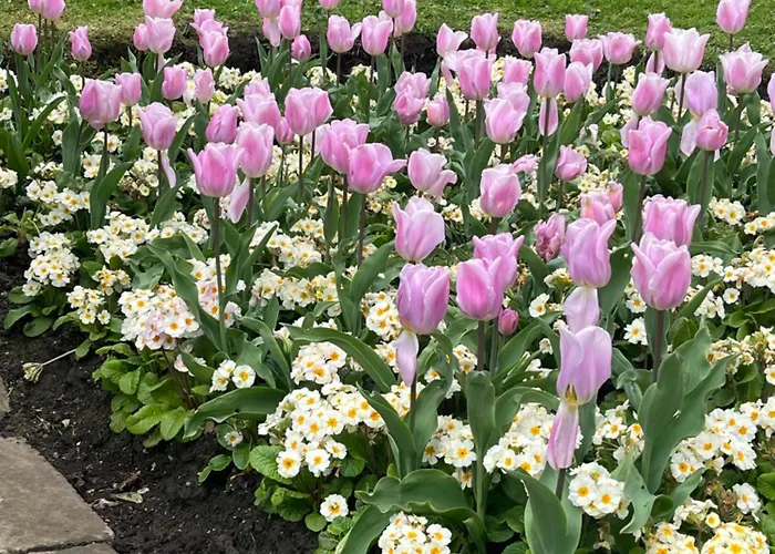 Ferienhaus Parkside *