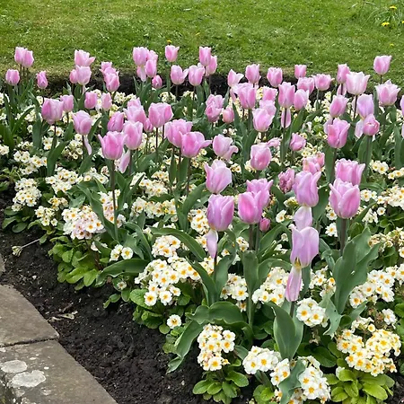 Casa de Férias Parkside *